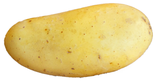Kartoffel
