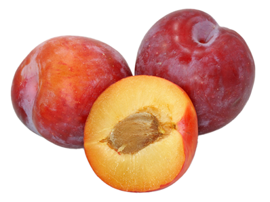 Nektarine