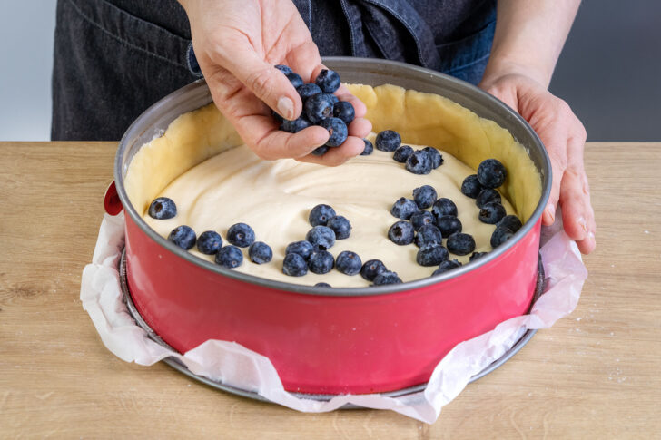 Blaubeeren auf die Quarkcreme geben