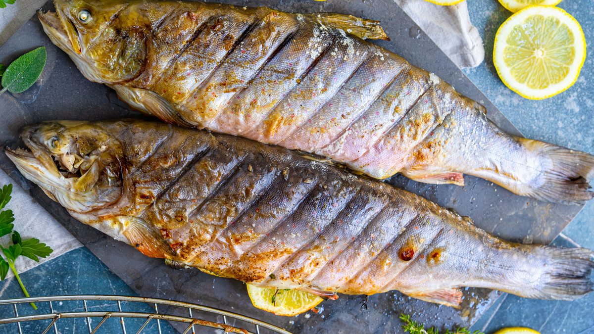 Saibling grillen | Rezept - eat.de