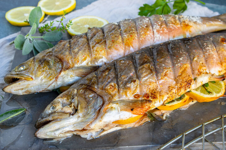 Saibling grillen