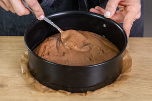 Biskuitteig in die Form geben