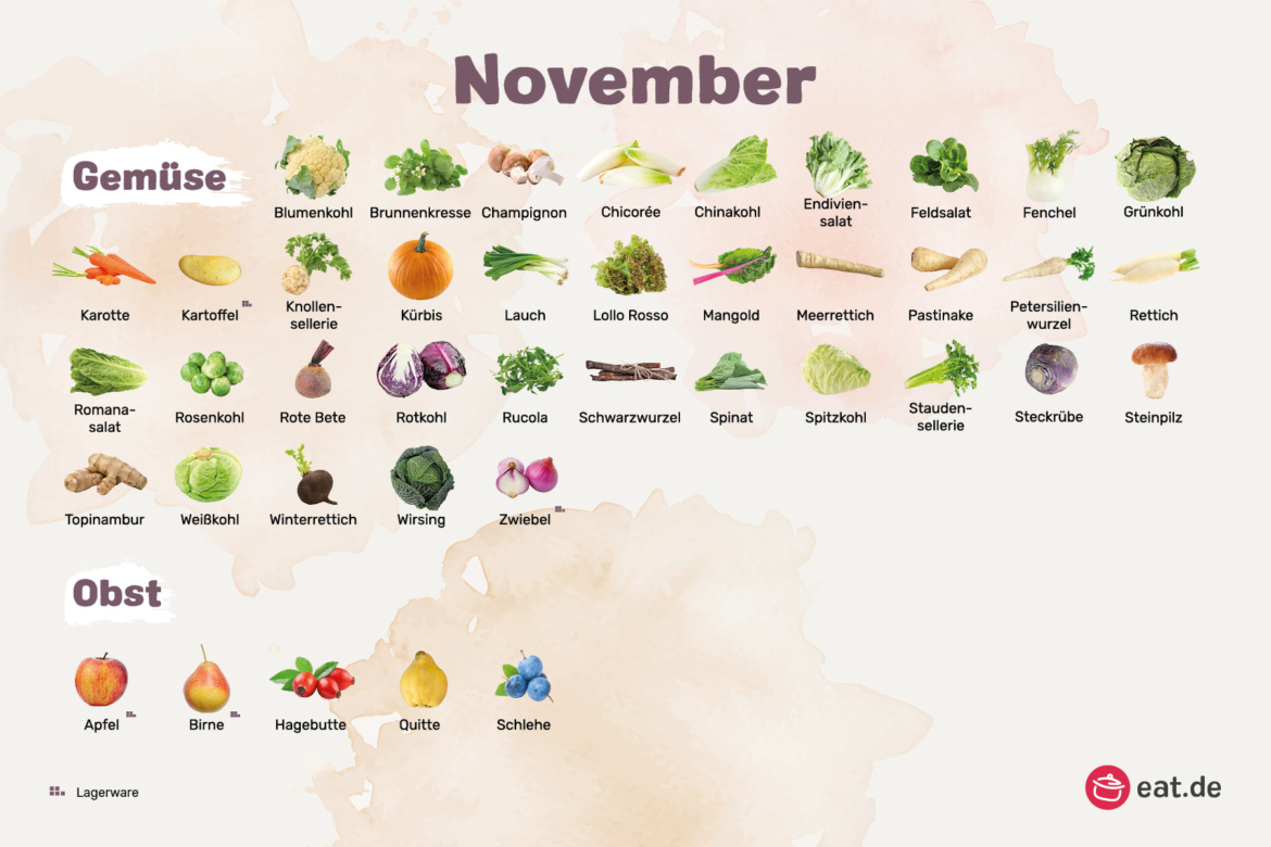 November Monatsübersicht Saisonkalender