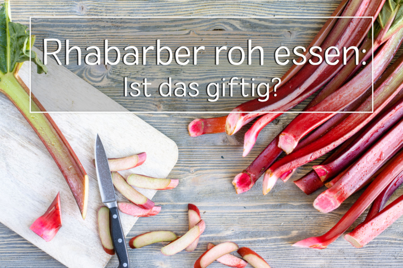Rhabarber roh essen: Ist das giftig?