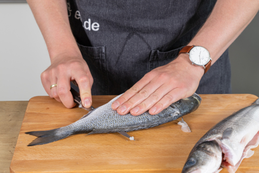 Fische filetieren