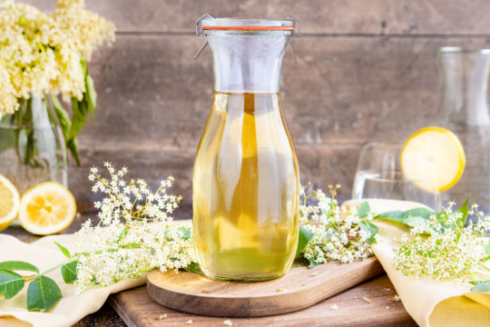 Holunderblütensirup selber machen