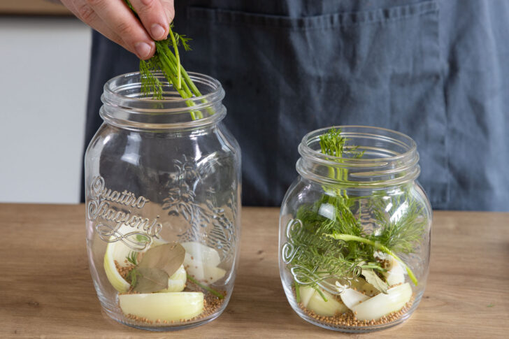 Gläser mit Dill füllen