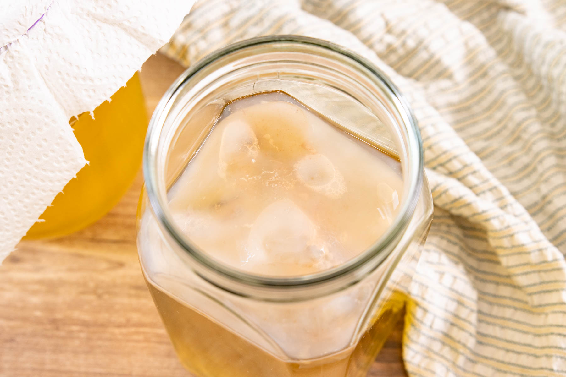 Gewachsener Kombucha Scoby