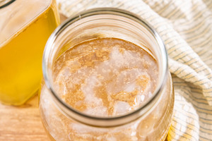 Neuer Kombucha Scoby