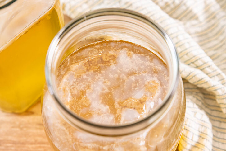 Neuer Kombucha Scoby