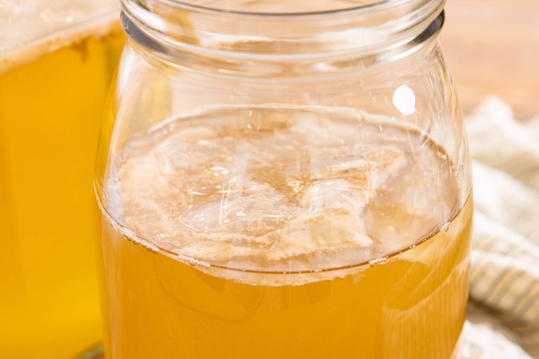 Kombucha Scoby