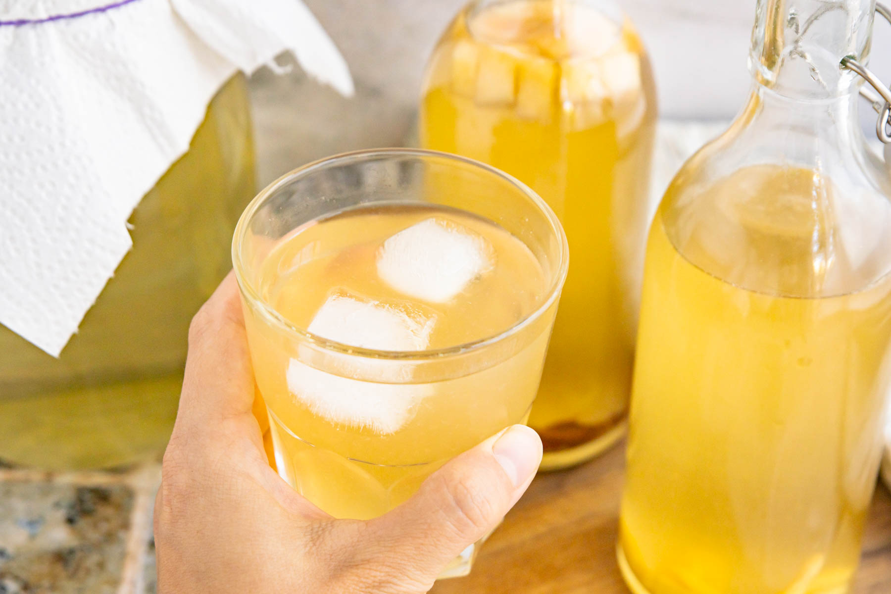 Kombucha selber machen