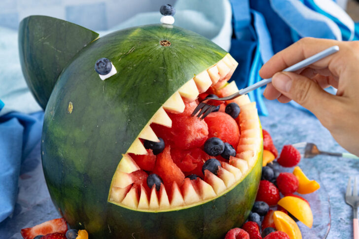 Melonen-Hai