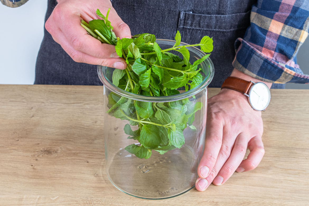 Pfefferminzlikör selber machen | Rezept