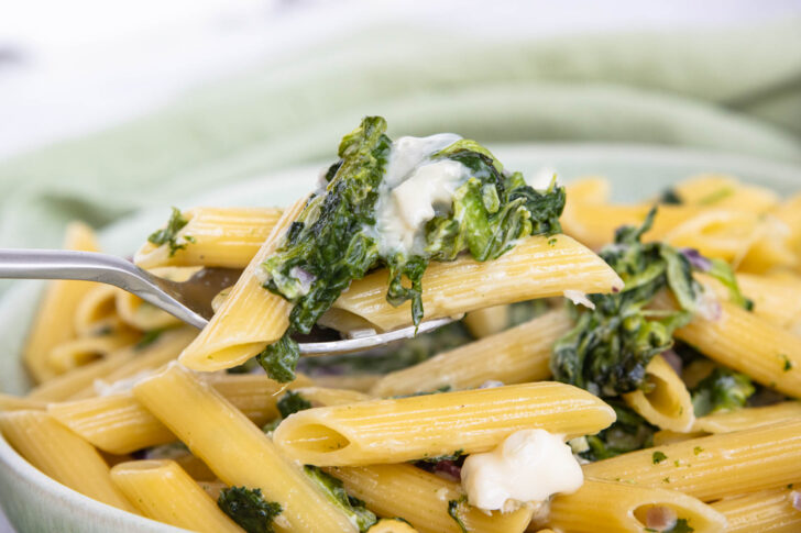 Spinat-Gorgonzola-Soße