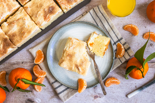 Fantakuchen vom Blech