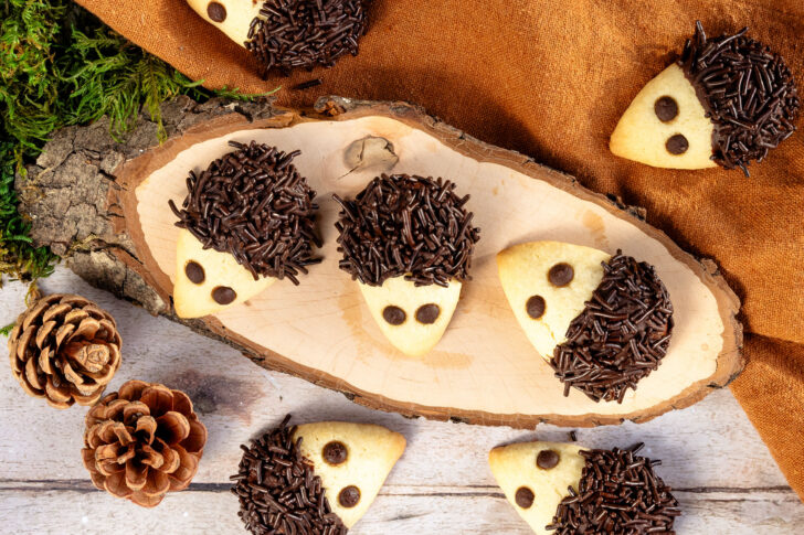 Zarte Igel-Kekse mit Schokostacheln