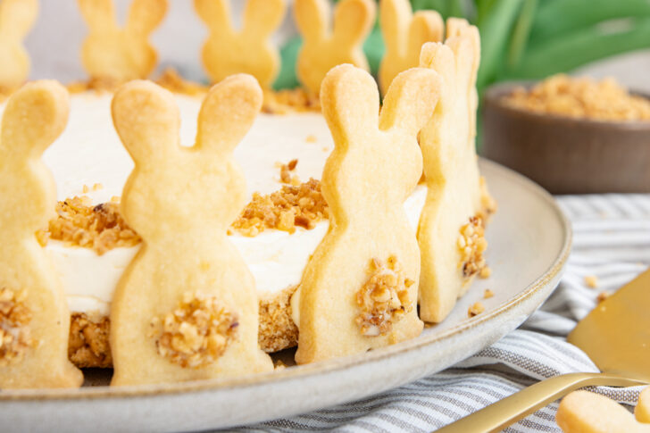 Osterhasen-Käsekuchen