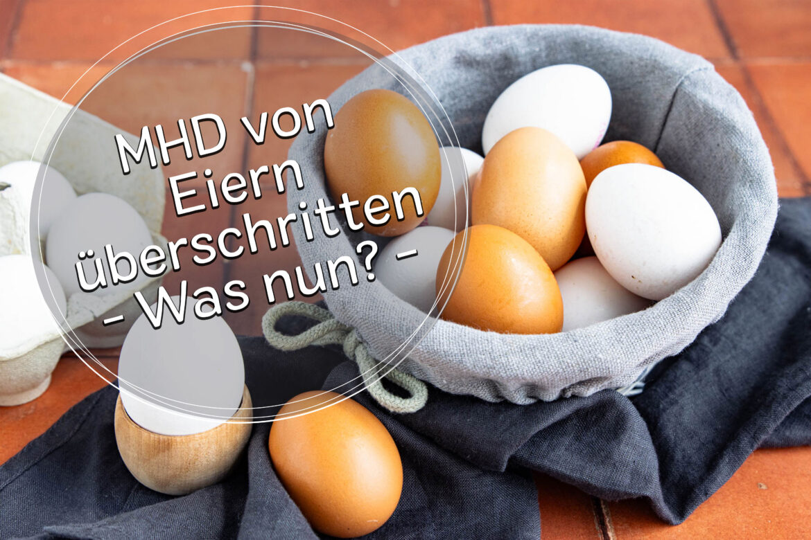 Eier sind nicht grundsätzlich faul, wenn das MHD überschritten ist