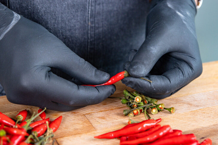 Stängel der Chillis entfernen