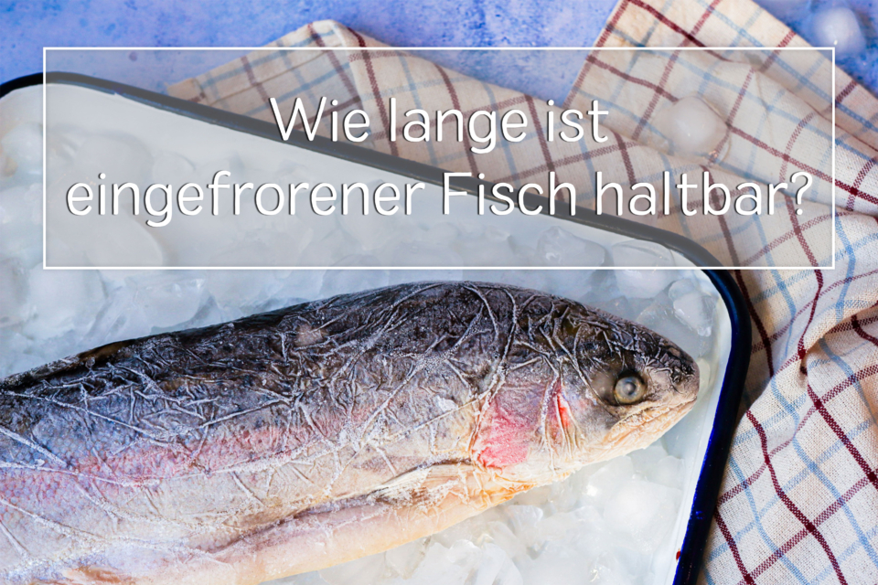 Aufgetauten Fisch Wie Lange Im Kühlschrank Haltbar eat.de