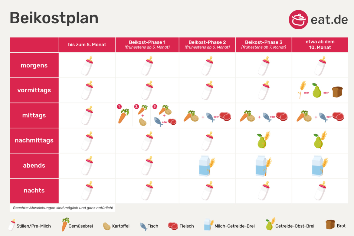 Beikostplan für Babys