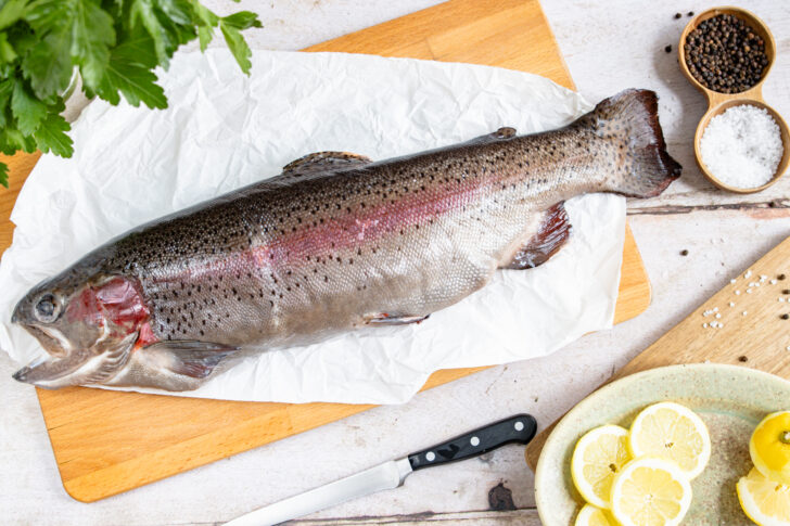 frischer Fisch