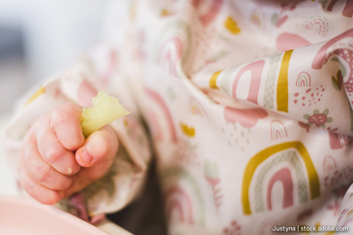 Baby Led Weaning BLW