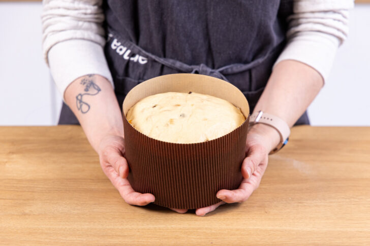 Aufgegangener Teig in der Panettone-Form