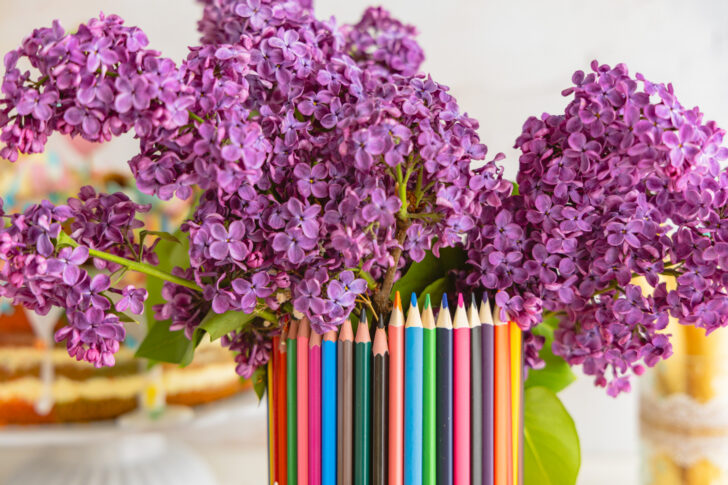 Buntstifte mit Lavendelblüten