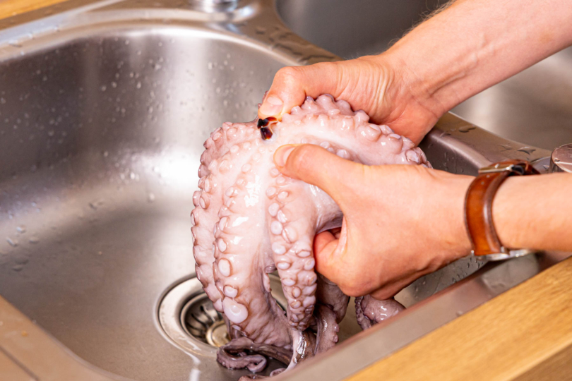 Oktopus waschen und Schnabel entfernen