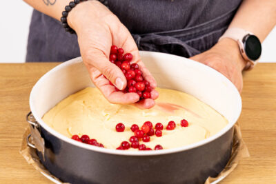Rote Johannisbeeren auf dem Twig verteilen