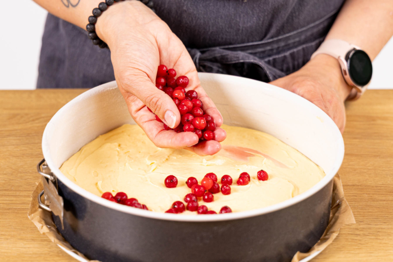 Rote Johannisbeeren auf dem Twig verteilen