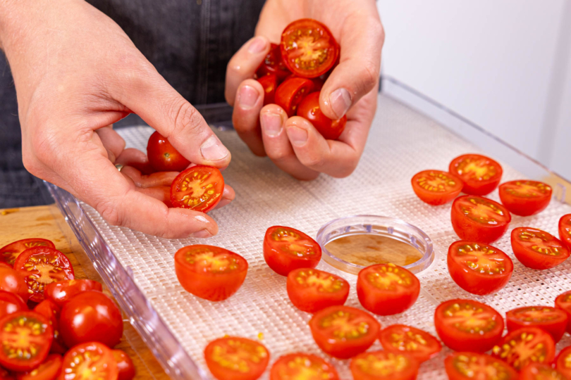 Tomatenhälften im Dörrautomat trocknen
