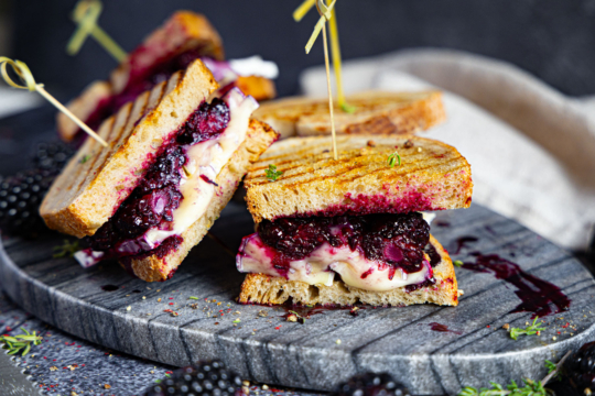 Grilled Brie Sandwich mit Brombeeren vom Kontaktgrill