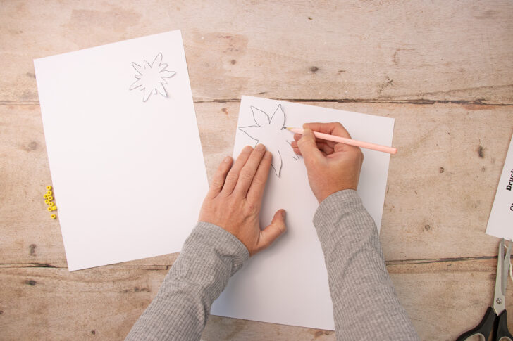 Edelweißvorlage auf Tonpapier übertragen