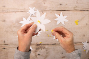 Edelweiss basteln