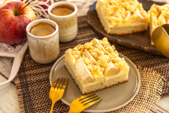 Apfelkuchen mit Quark-Öl-Teig vom Blech