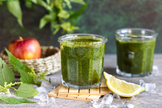 Brennnessel Smoothie
