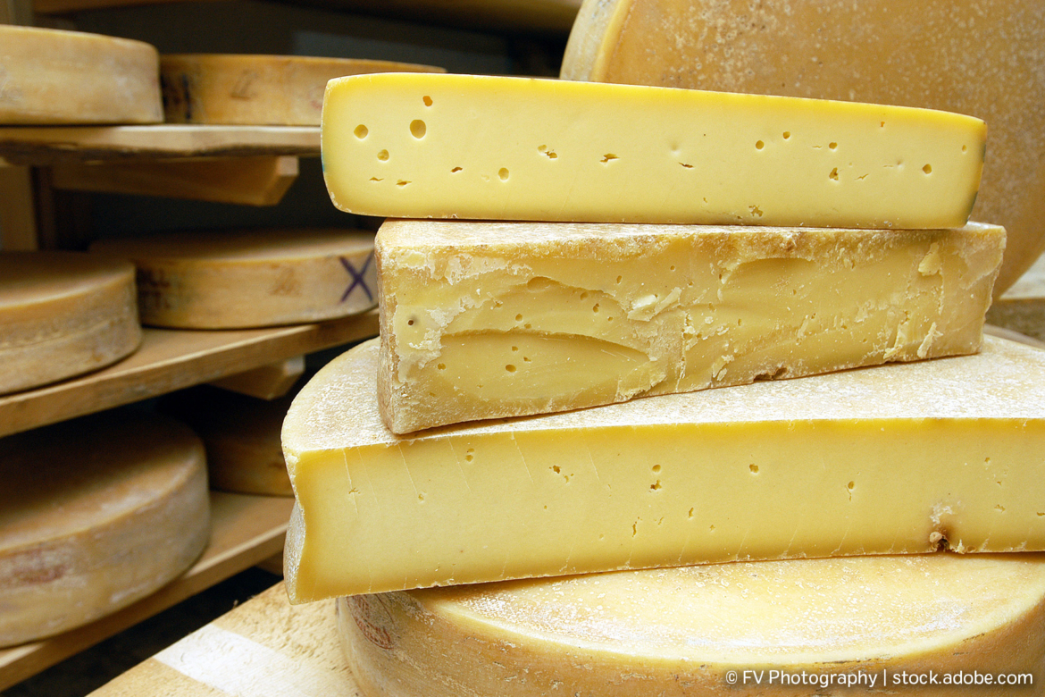 Italienischer Hartkäse - Bitto