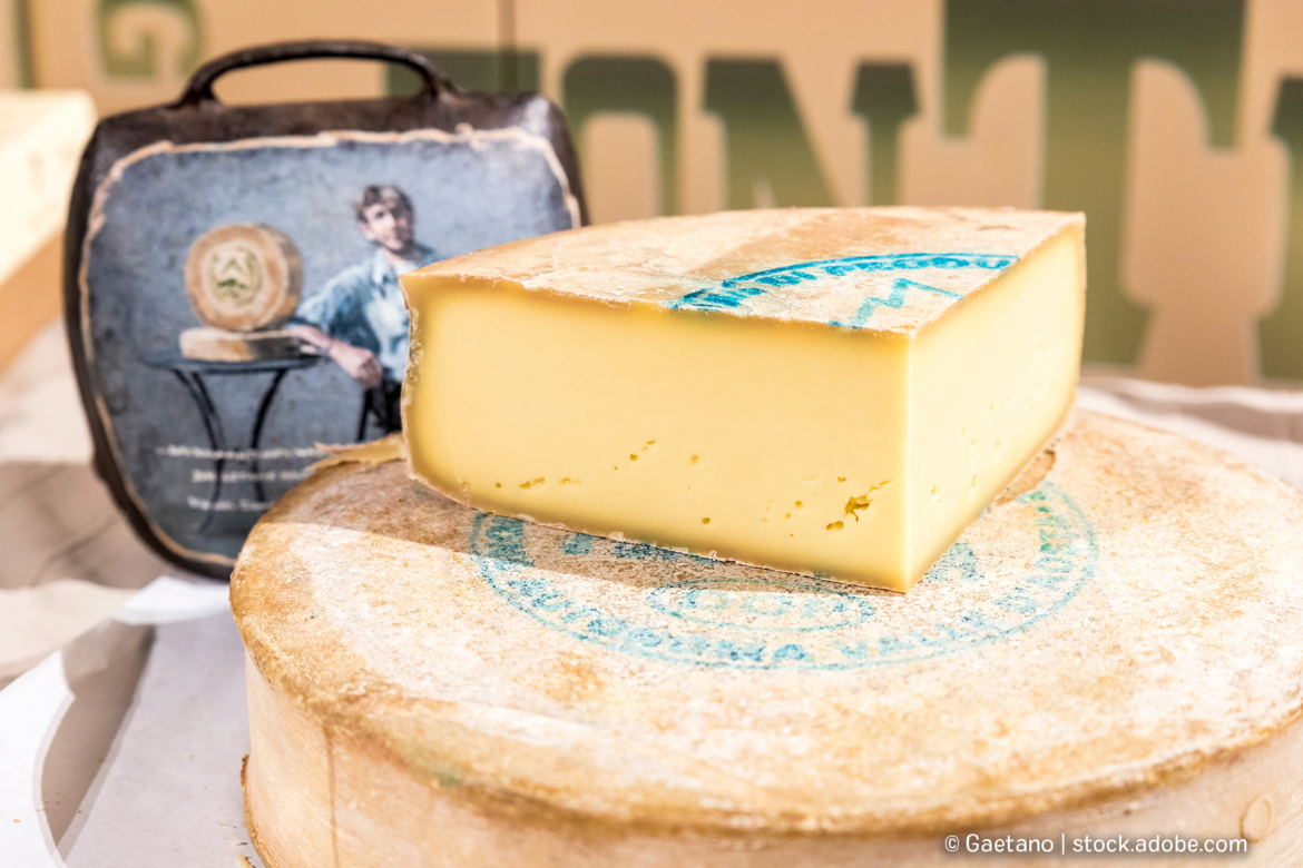 Käse aus Italien - Fontina