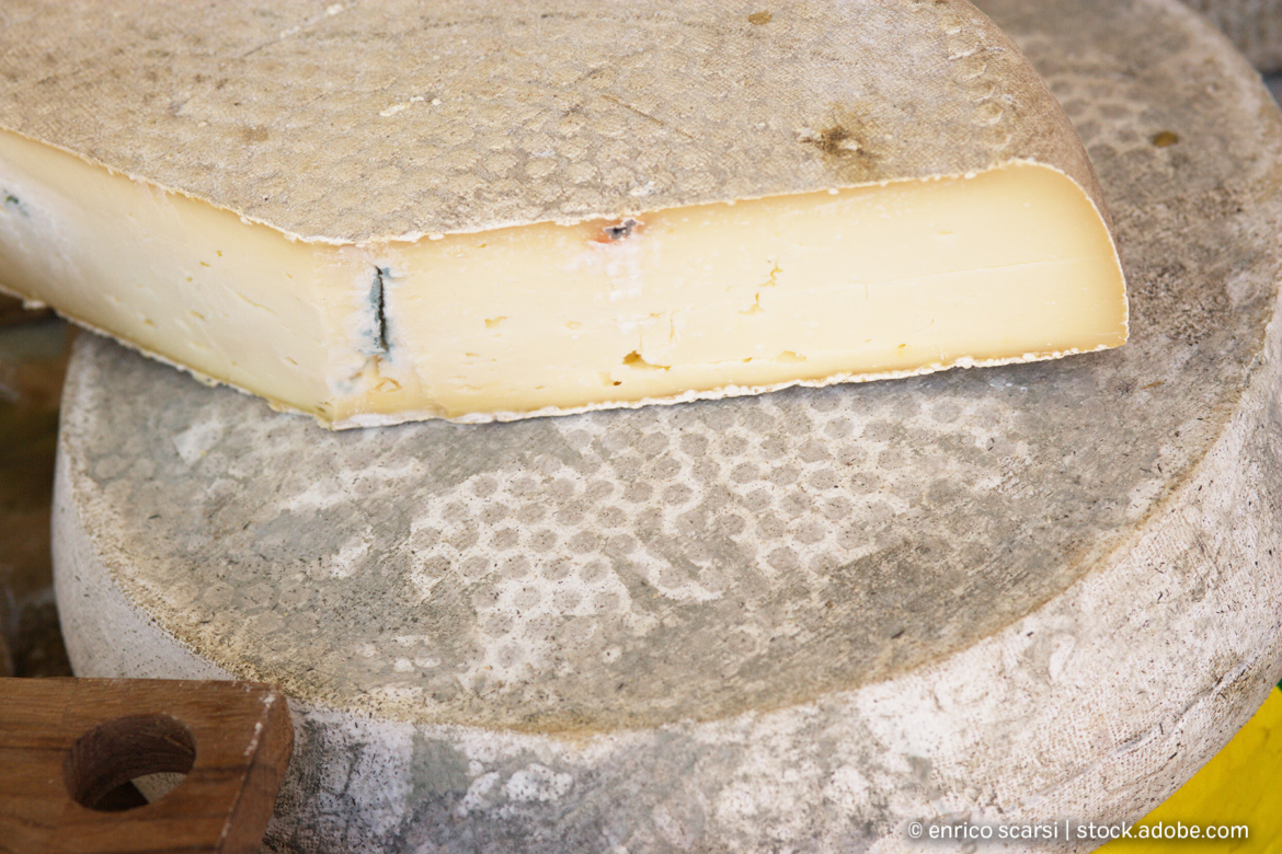 Italienischer Käse - Formaggio di Capra