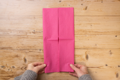 Schmale Papierstreifen Sterviette