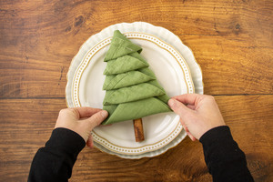Teller mit Tannenbaum Serviette dekorieren