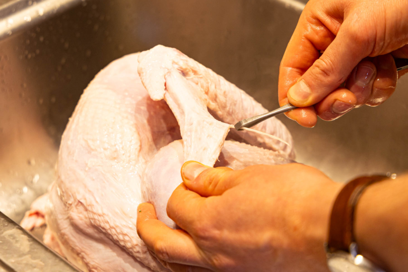 Federreste mit Pinzette entfernen