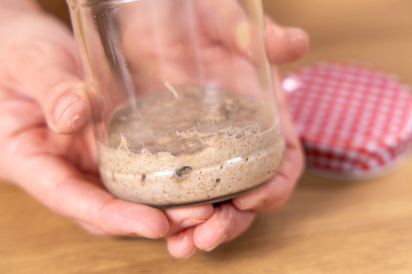 Sauerteigansatz nach einem Tag