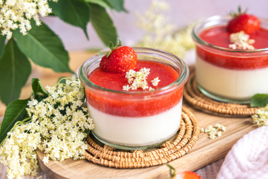 Holunder Panna Cotta