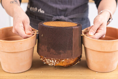 Panettone kopfüber hängend