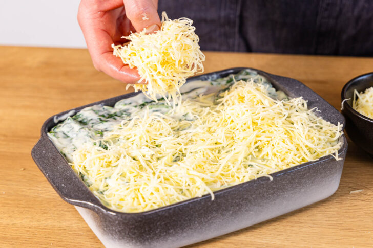 Käse auf der Spinatlasagne mit Lachs verteilen