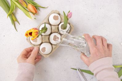 Eierschalen mit Wasser füllen